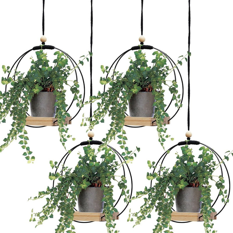 17 Stories 4 Pack Plant Hanger With Wood Base Hanging Window Planter... |  Wayfair