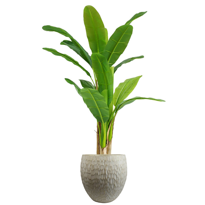 Inoke Planters Handmade Pot Planter, White