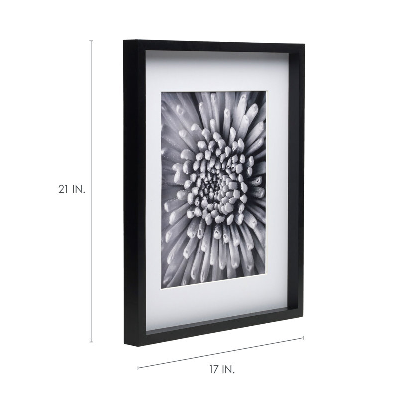 Bold Gallery W/Mat MDF Multi-Size Photo Frame, Black, 8" x 10", 16" x 20"