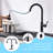 FLG Pull Out Kitchen Faucet