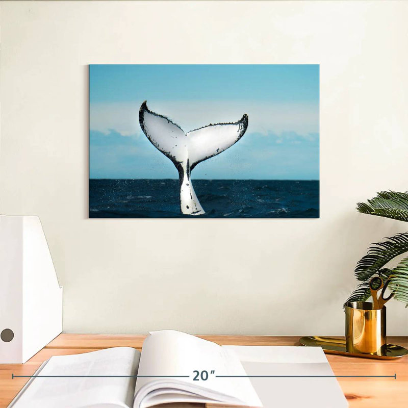 Brampt Whale Fluke, 8" H x 12" W