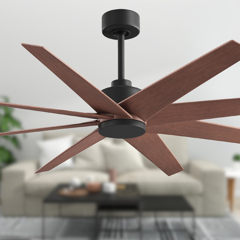 Ariella - Eight Blade Ceiling Fan - Brushed Brass Finish - Matte Black Blades, Matte Black, Walnut Tone