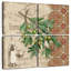 Olives vertes toscanes Yarlin-109097933