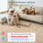 Celeta Washable Abstract Japandi Rainbow Striped Beige Area Rug - Colorful Modern Carpet for Living Room, Bedroom, or Office Decor-1838025615