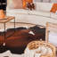 Tapis en cuir de vache chocolat et blanc - tapis en cuir véritable-17796360