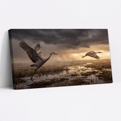 Sandhill Cranes Flying Over Golden Marsh Canvas Wall Art