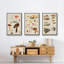 Champignon X-91887170-91887168