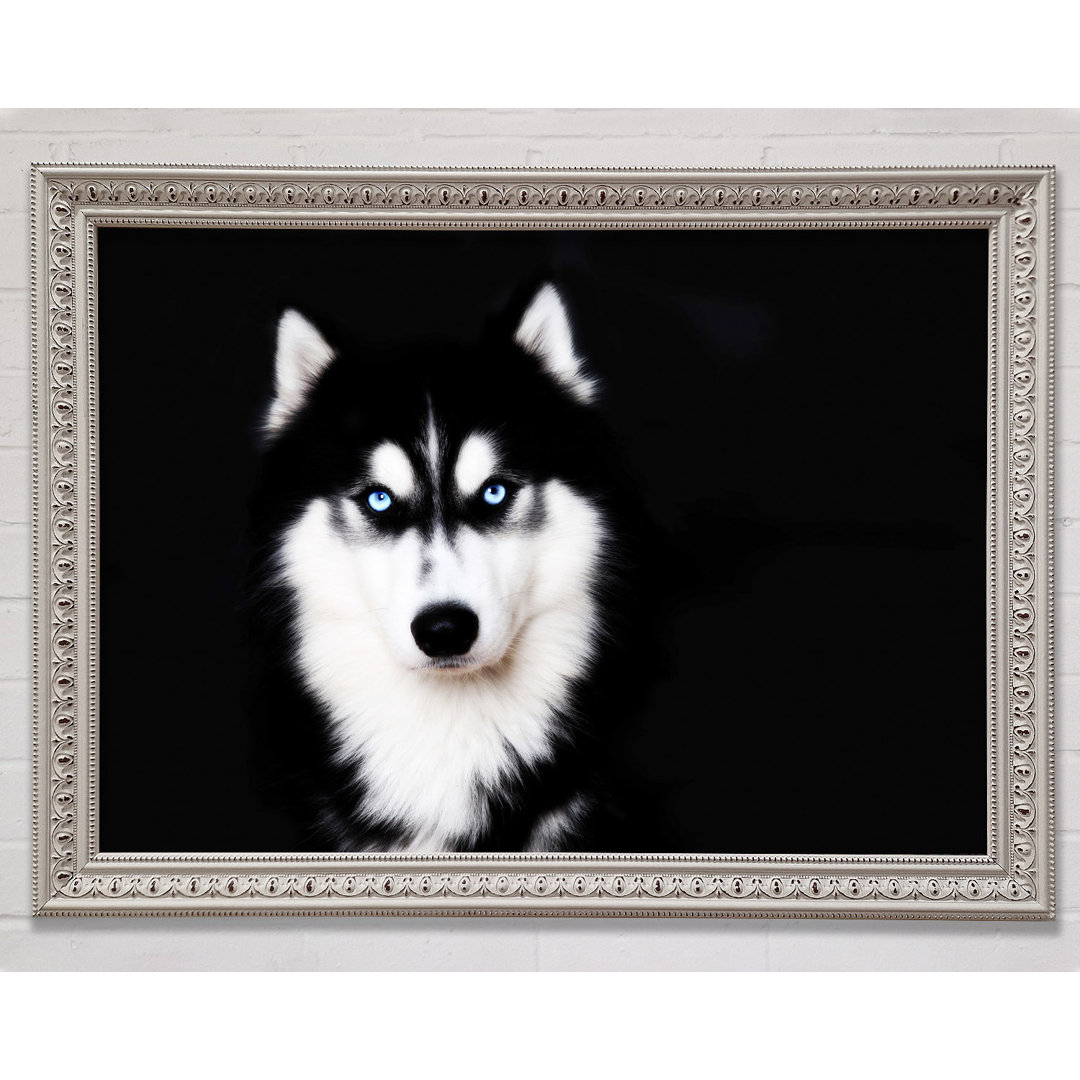 Husky Hund Liebe - Einzelner Bilderrahmen Kunstdrucke