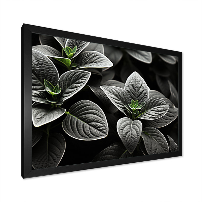 Plantes grises, sérénité botanique sur toile, Cadre photo noir, H 30 po x l 40 po x P 1,5 po