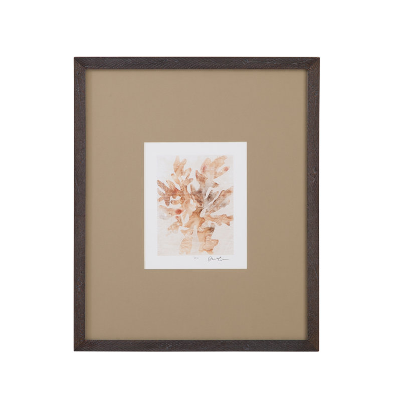 Parchment Coral IV, reproduction encadrée