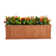 Barros Cedar Wood Outdoor Raised Garden Bed Planter Box