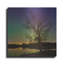  «Tree Under Aurora Borealis» par Epic Portfolio, art mural en métal, 36 po x 36 po-970176650