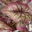Artificial Foliage Stems 85cm Faux Foliage Plant