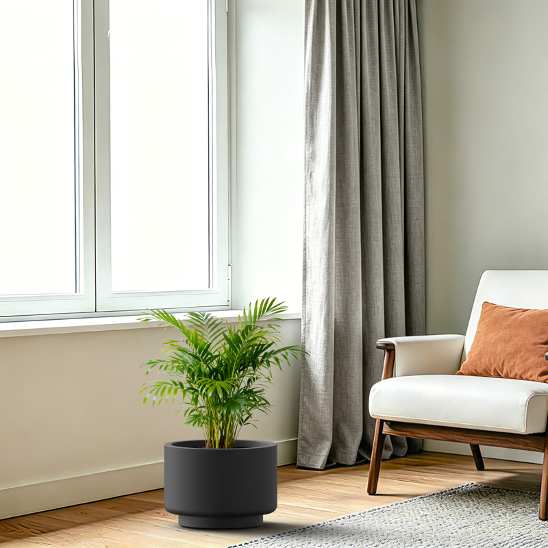 Grand pot / jardinière rond en béton anthracite foncé l 12,5 po x H 9 po avec trou de drainage pour l'intérieur et l'extérieur