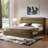 Upholstered Lift-Up Storage Platform Bed-323341732-324274076