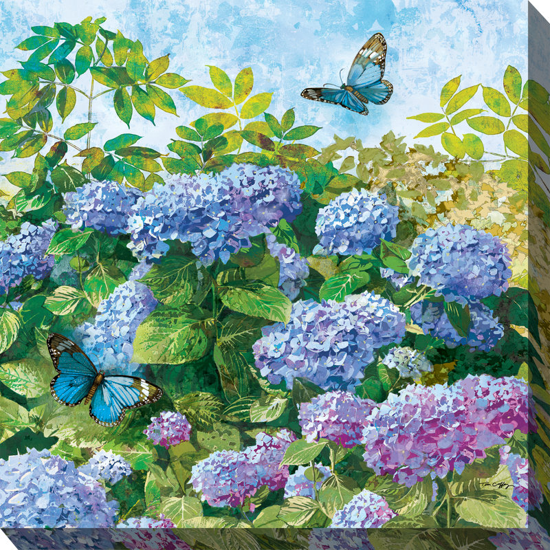 Art extérieur Butterfly Blues