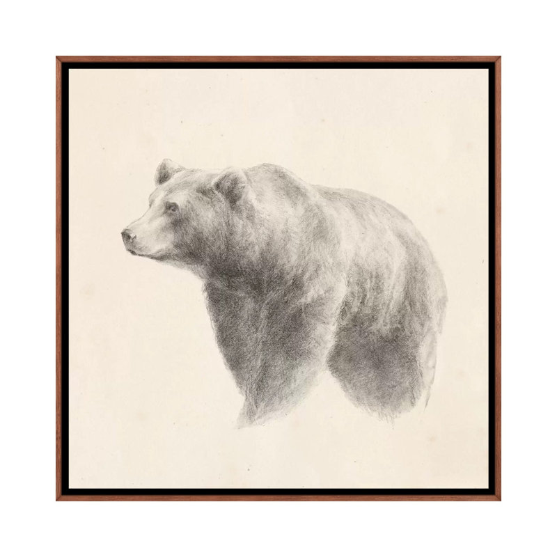 "Western Bear study" par Ethan Harper, reproduction d’art, Pas de tapis, H 26 po x l 26 po x P 1,5 po