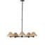 Deondria Iron 5-Light Chandelier