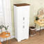 Tall Cabinet with Drawer and Adjustable Shelves