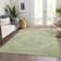 Machine Washable Indoor/Outdoor Chayden ACN1104 Sage Rug