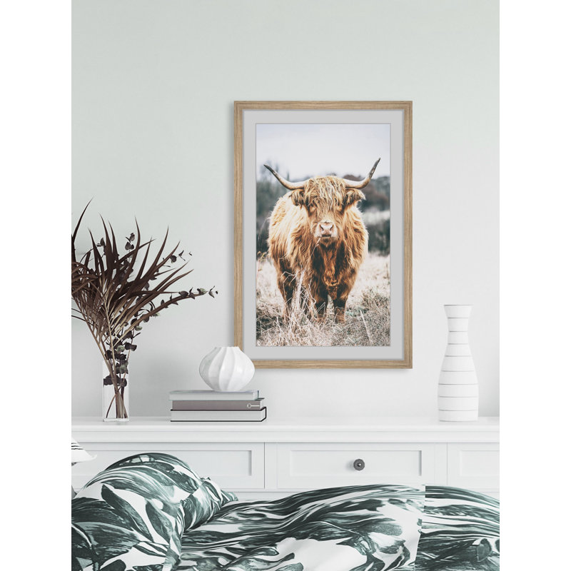 Scottish Highland Cattle - Print, Brown Framed Paper, 45cm H x 45cm W x 3.81cm D