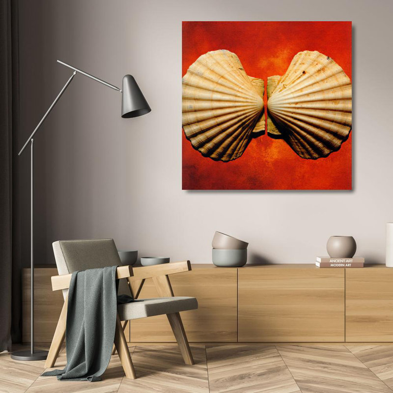Coquillages, H 20 po x l 20 po