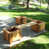 Cedar Stain selected