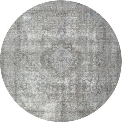 Alber Oriental Indoor Rug