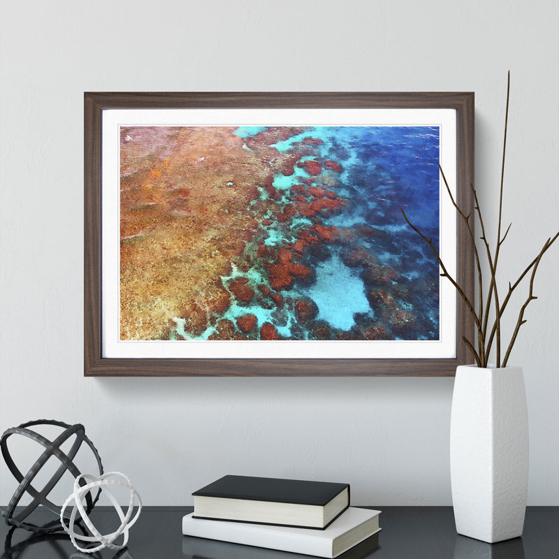 The Great Barrier Reef Coral - Picture Frame Graphic Art, 27cm H x 36cm W x 2cm D, Walnut