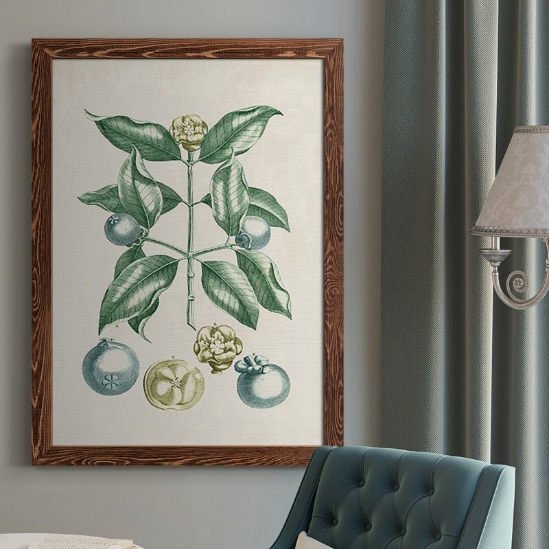 «Buchoz Tropicals VII», reproduction d'art sur toile simple, H 37,5 po x l 27,5 po x P 1 po, Érable