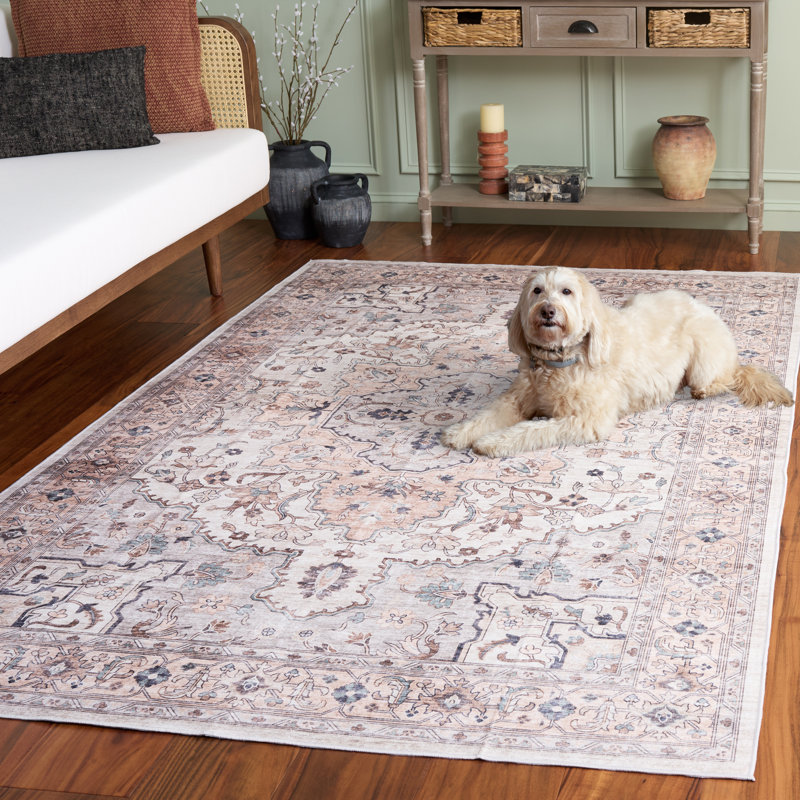 Lomeli Area Rug with Non-Slip Backing, Rectangle 3" x 5"