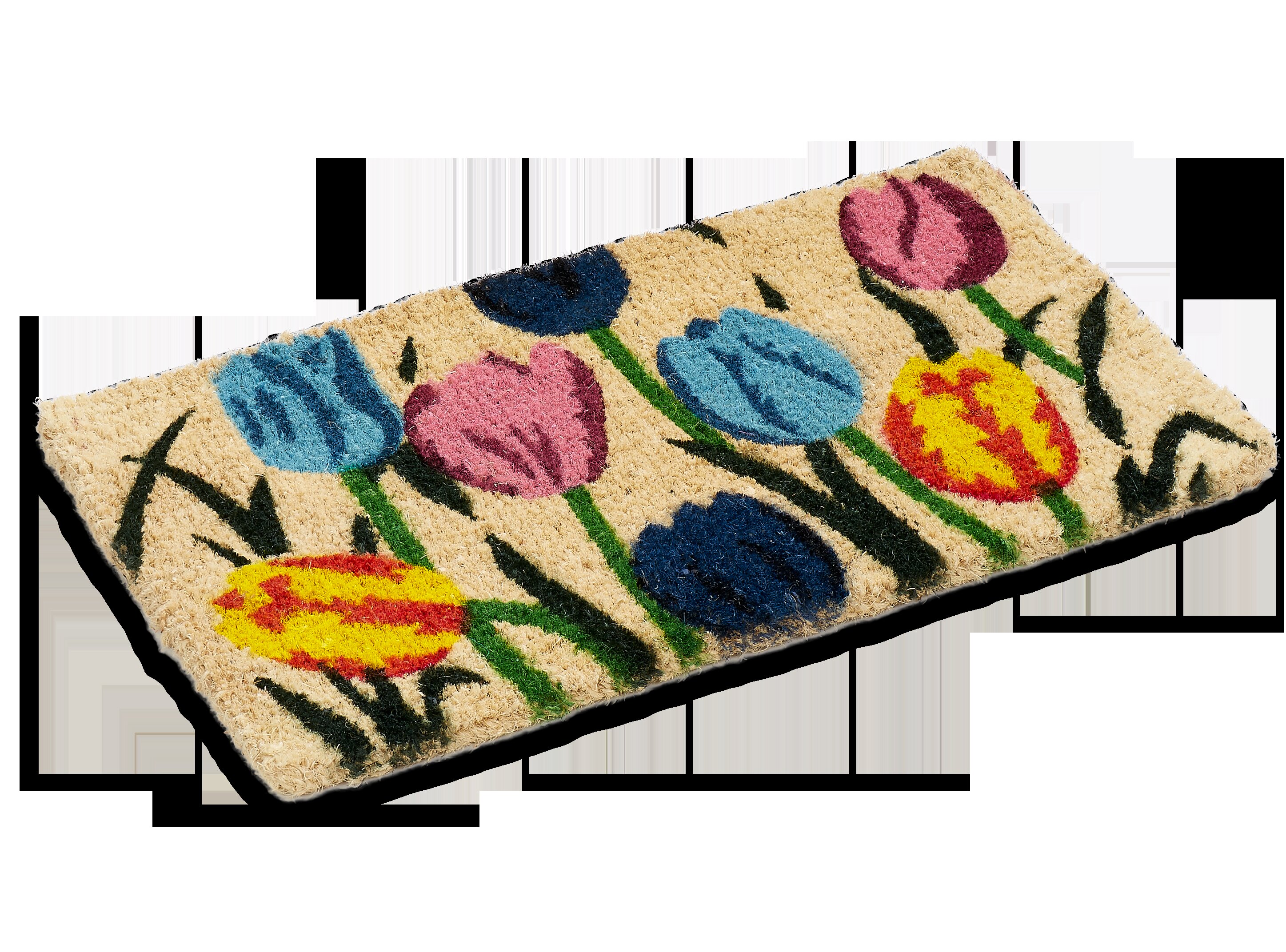 MSI Black Encaustic 18 in. x 30 in. Coir Door Mat