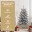 vidaXL Christmas Bauble Transparent-2048011466