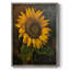 Reproduction encadrée FLORAL Series CDXCV - bois massif-1470599326