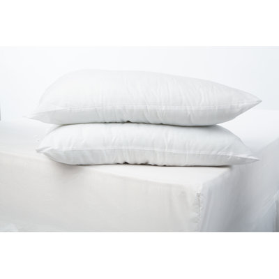 Set of 2 Hollowfibre Pillows