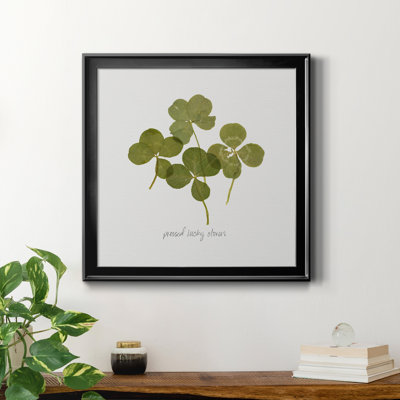 " Pressed Clover I "