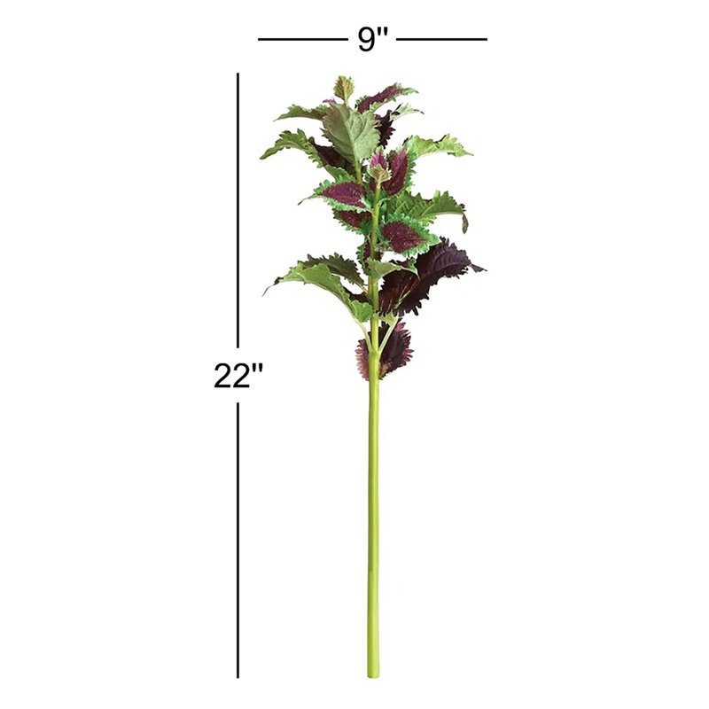 22-Inch Coleus Stem, Plum