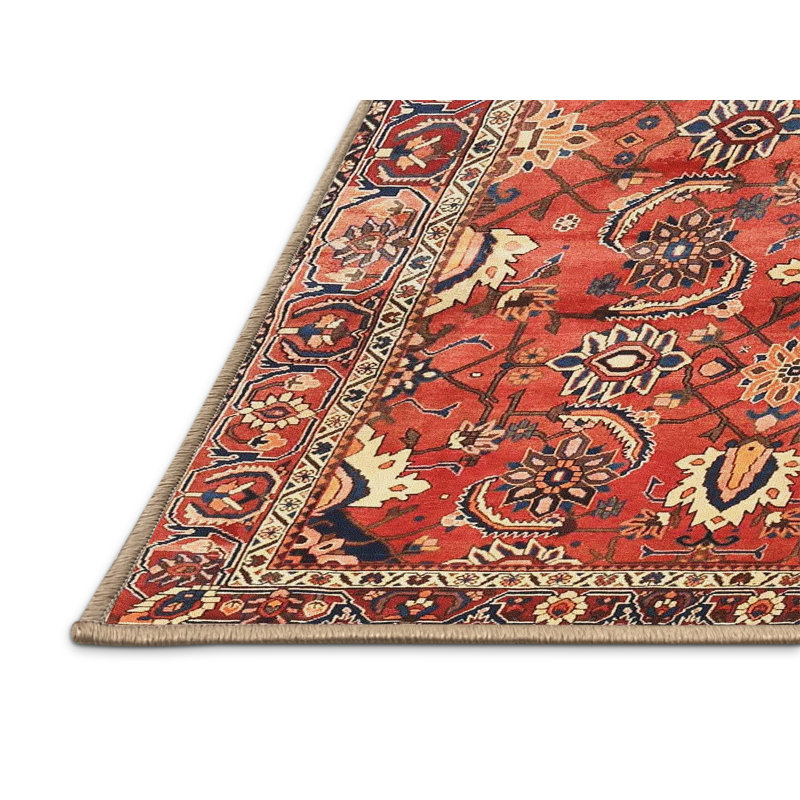 Cecele Oriental Indoor Rug, Rectangle 2' x 4'
