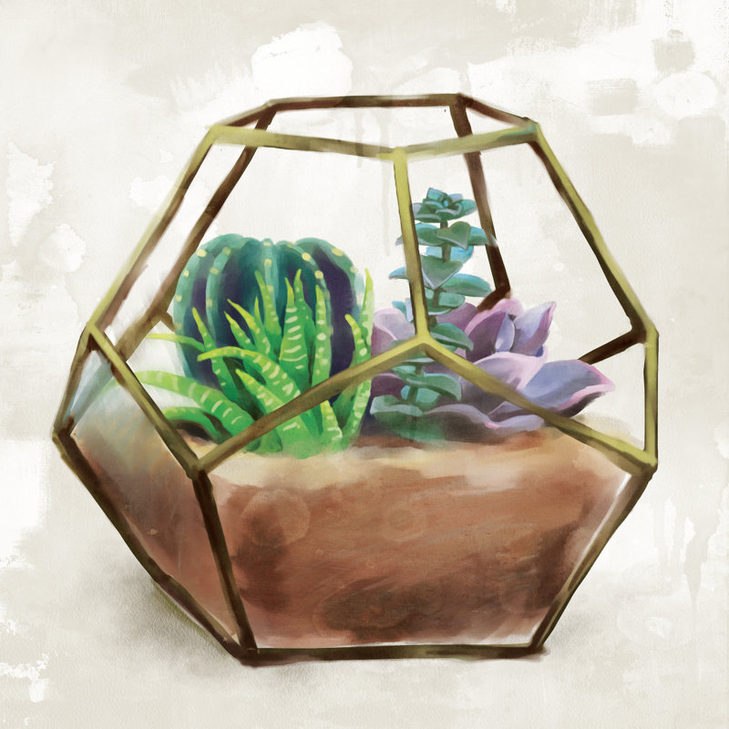 Succulent Terrarium - Wrapped Canvas Painting, 91cm H x 91cm W x 3.8cm D