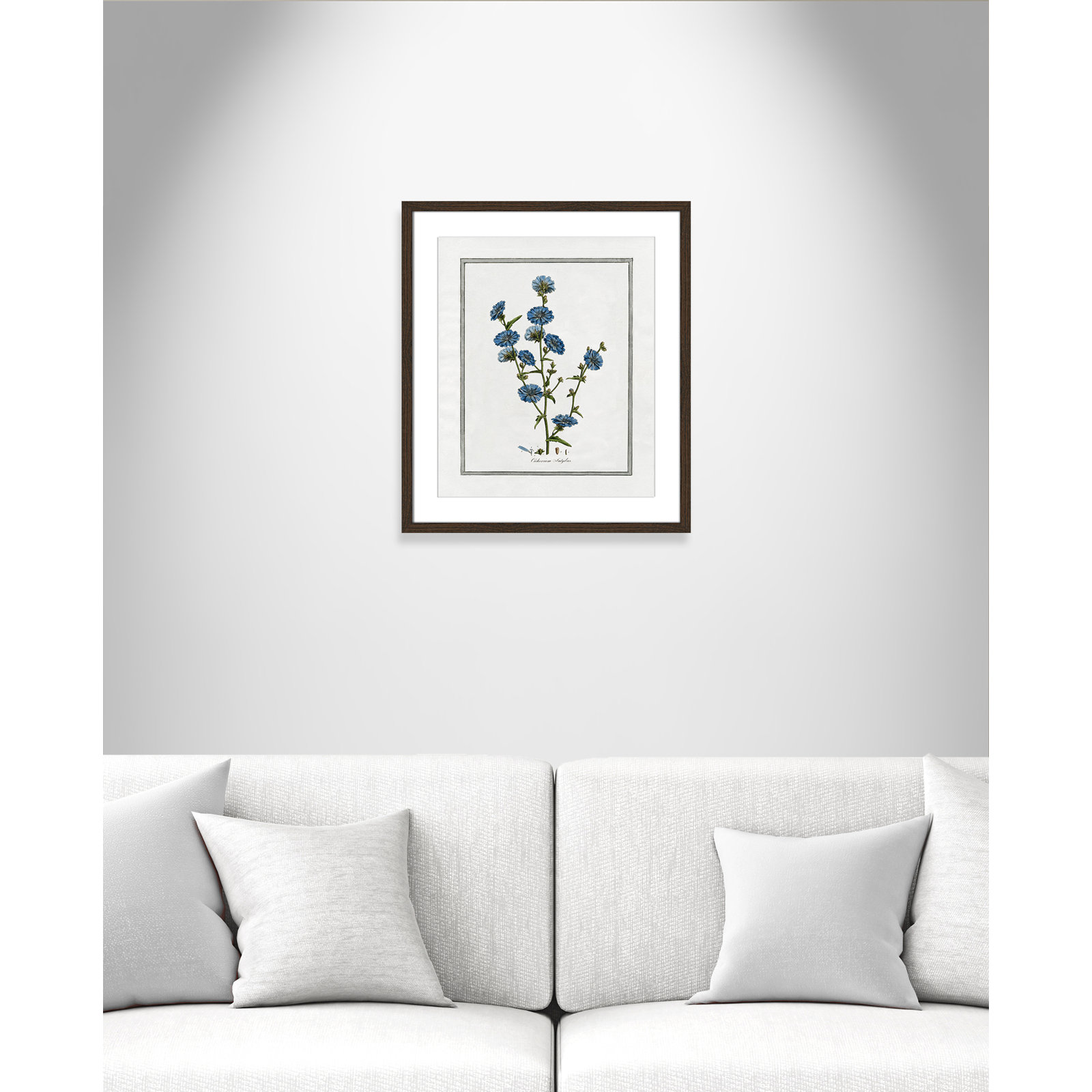 Colombe "Soft Botanical I" Print, 16" W x 19" H, Walnut Framed