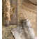 Augeron Wool Oriental Indoor Rug