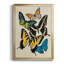 Collage Butterflies II, reproduction d'art encadrée-1369986121-1369986126