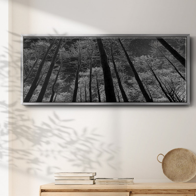 Night Sky- Framed Canvas, 20" H x 50" W