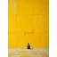 Yellow Dissent