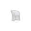 Cape Town Dining Chair + Polar Cushion