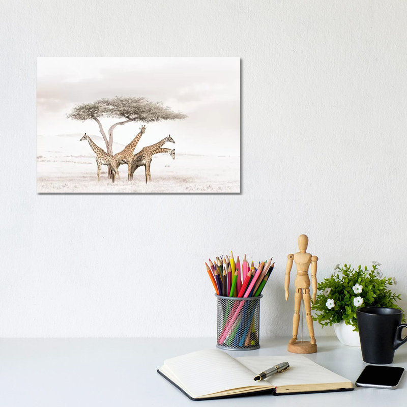 White Giraffes by Klaus Tiedge - Print on Canvas, 20.32 cm H x 30.48 cm W, Wrapped Canvas