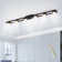 6 - Light 48.42" LED Dimmable Flush Mount