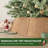 Rattan Tree Collar-119232219