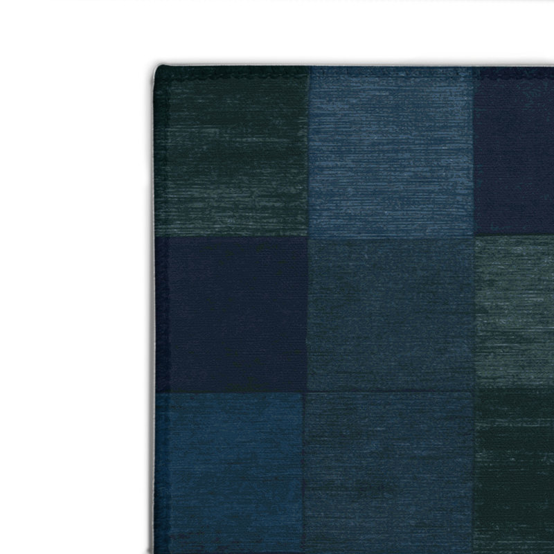 Checkered Blue Indoor and Outdoor Area Rug, Rectangle 4' x 6'