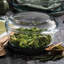 Pasabahce 3.15L Glass Round Dutch Oven